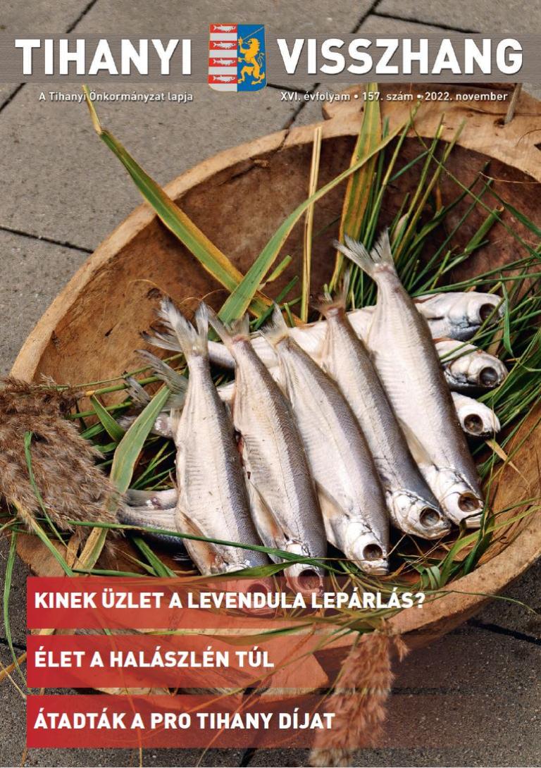 157. szám 2022. november